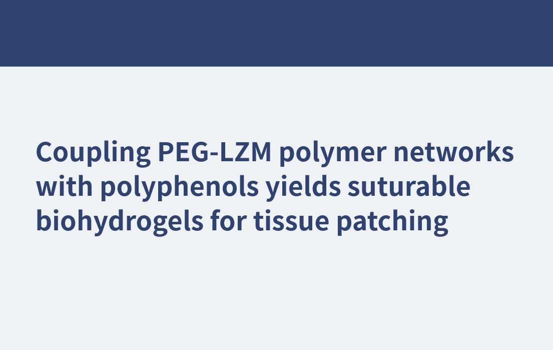 Coupling PEG-LZM polymer networks with polyphenols yields suturable biohydrogels for tissue patching