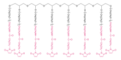 8-arm Poly(ethylene glycol) maleimide(HG)