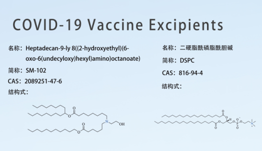 Discussion on Covid-19 Vaccine Excipients