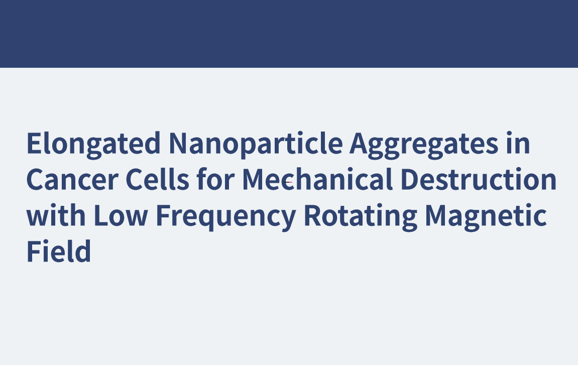 Elongated Nanoparticle Aggregates in Cancer Cells for Mechanical Destruction with Low Frequency Rotating Magnetic Field