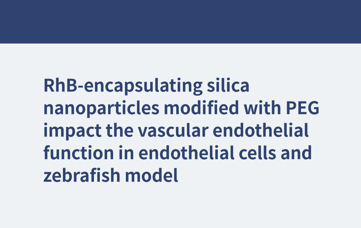 RhB-encapsulating silica nanoparticles modified with PEG impact the vascular endothelial function in endothelial cells and zebrafish model