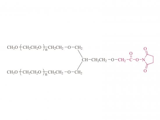 2-arm Methoxypoly(ethylene glycol) succinimidyl carboxymethyl ester(PT02) [2-arm PEG-SCM(PT02)] 