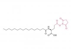 Nα-Palmitoyl-(L)-glutamic acid-γ-succinimidyl ester