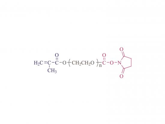 α-Methacryloyl-ω-succinimidyl poly(ethylene glycol) [MA-PEG-SC] 