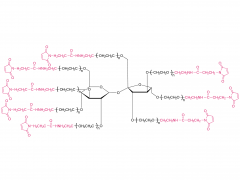 8-arm PEG-MAL