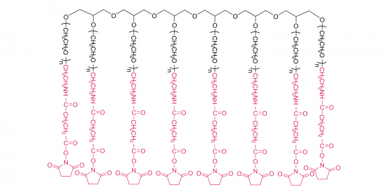 8-arm Poly(ethylene glycol) succinimidyl succinamide(HG) [8-arm PEG-SSA(HG)] 