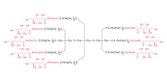 8-arm PEG-Gluconic (TP)