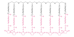 8-arm Poly(ethylene glycol) succinimidyl glutarate(HG)