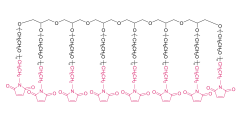 8-arm Poly(ethylene glycol) maleimide(ether)(HG)