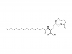 Nα-Palmitoyl-(L)-glutamic acid-γ-succinimidyl ester