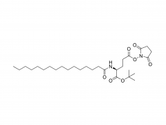 Nα-Palmitoyl-(L)-glutamic acid-γ-succinimidyl-α-tert-butyl ester