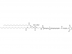 DSPE-PEG-MAL(propylamine)