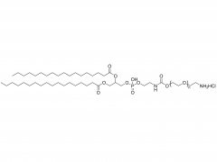 DSPE-PEG-NH2·HCl