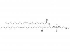 1,2-dioleoyl-sn-glycero-3-phosphoethanolamine