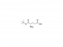 L-Glutamic acid α-tert·butyl ester