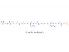 somapacitan（LYS/CYS)