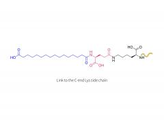 Insulin degludec (LYS)