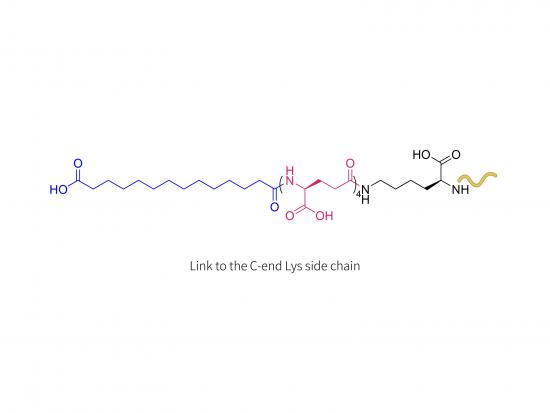 Insulin 0143-0406 (LYS)
