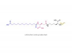 Insulin 0143-0406 (LYS)