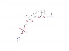 Poly（DMA-co-MPC）
