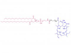 DSPE-PEG-CE6