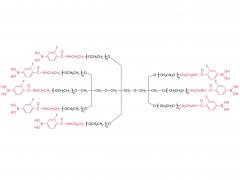 8-arm PEG-BFA(TP)