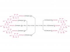 8-arm PEG-Gluconic (TP)