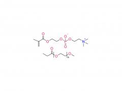Poly（MPC-co-mPEG-MAC）