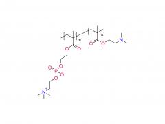 Poly（DMA-co-MPC）
