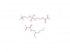 Poly（EHMA-co-MPC）
