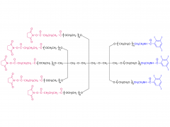 (SG)5-8-arm PEG-(TIB)3(amide)(TP)