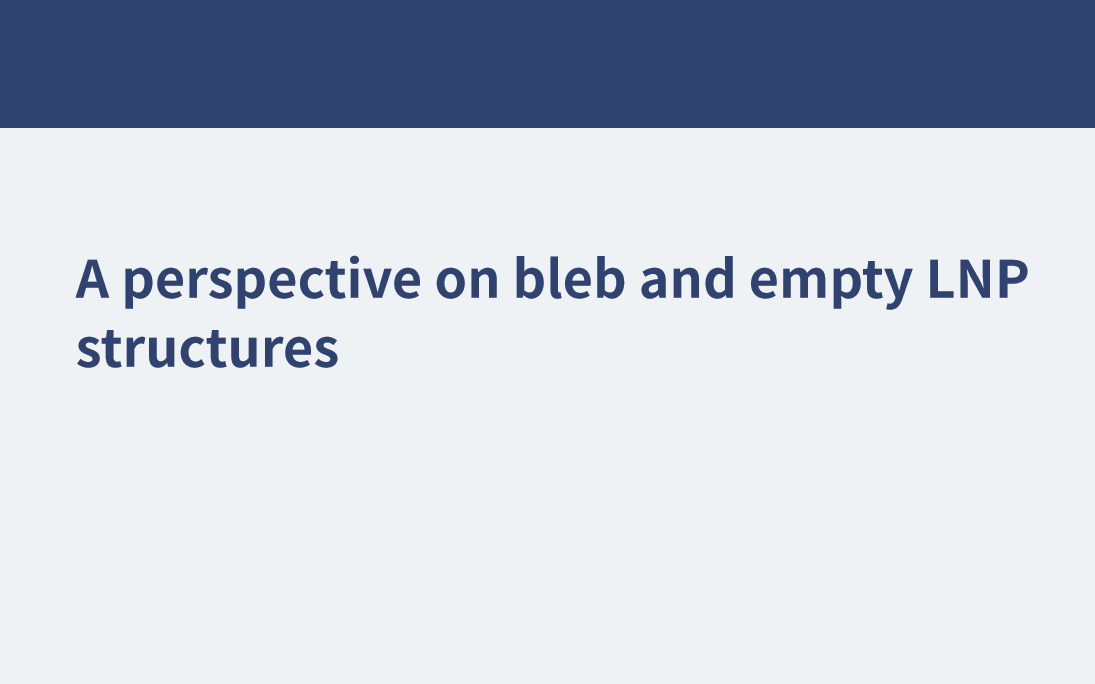 A perspective on bleb and empty LNP structures