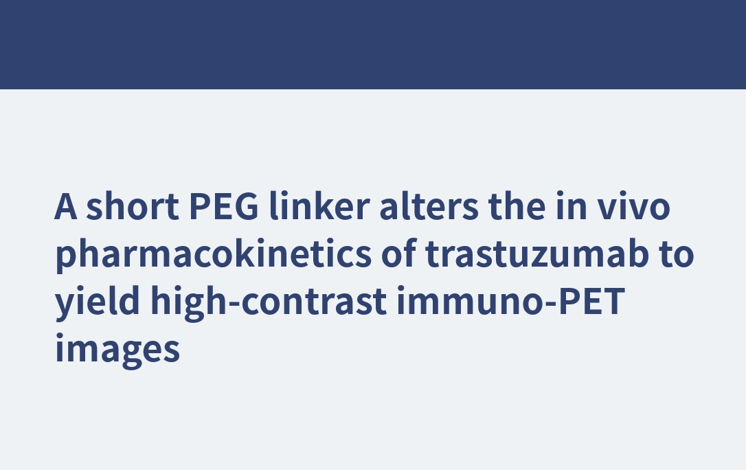 A short PEG linker alters the in vivo pharmacokinetics of trastuzumab to yield high-contrast immuno-PET images