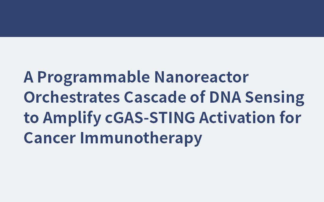 A Programmable Nanoreactor Orchestrates Cascade of DNA Sensing to Amplify cGAS-STING Activation for Cancer Immunotherapy