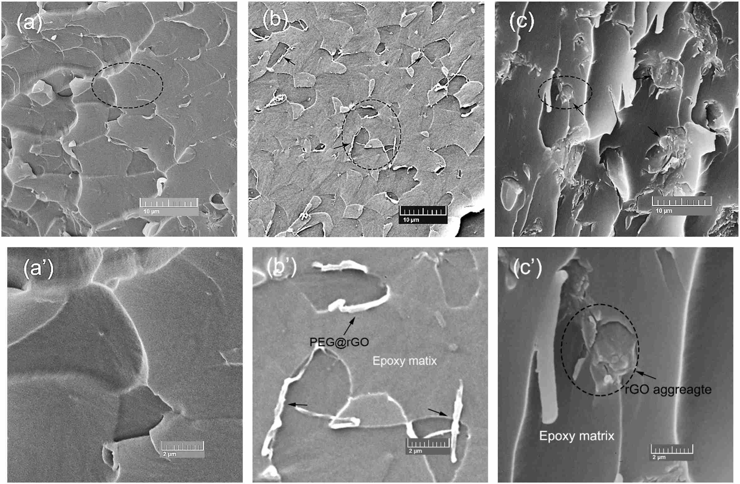 Core-shell structured polyethylene glycol functionalized graphene for energy-storage polymer dielectrics: Combined mechanical and dielectric performances