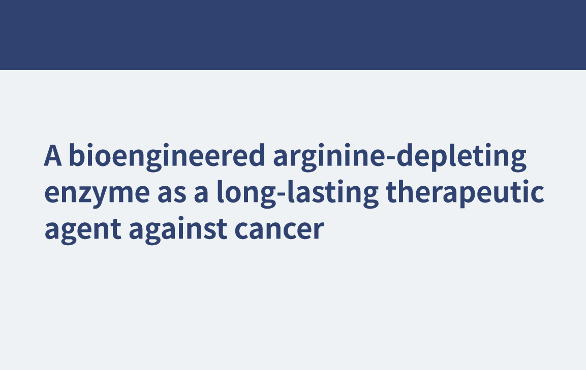 A bioengineered arginine-depleting enzyme as a long-lasting therapeutic agent against cancer