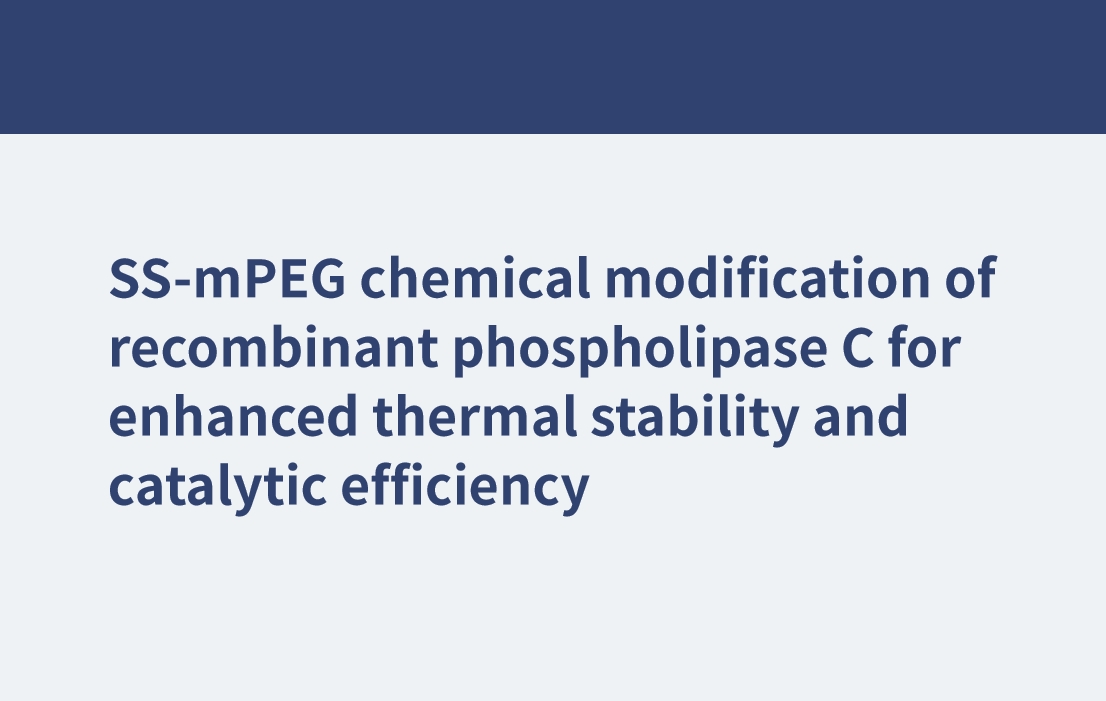SS-mPEG chemical modification of recombinant phospholipase C for enhanced thermal stability and catalytic efficiency
