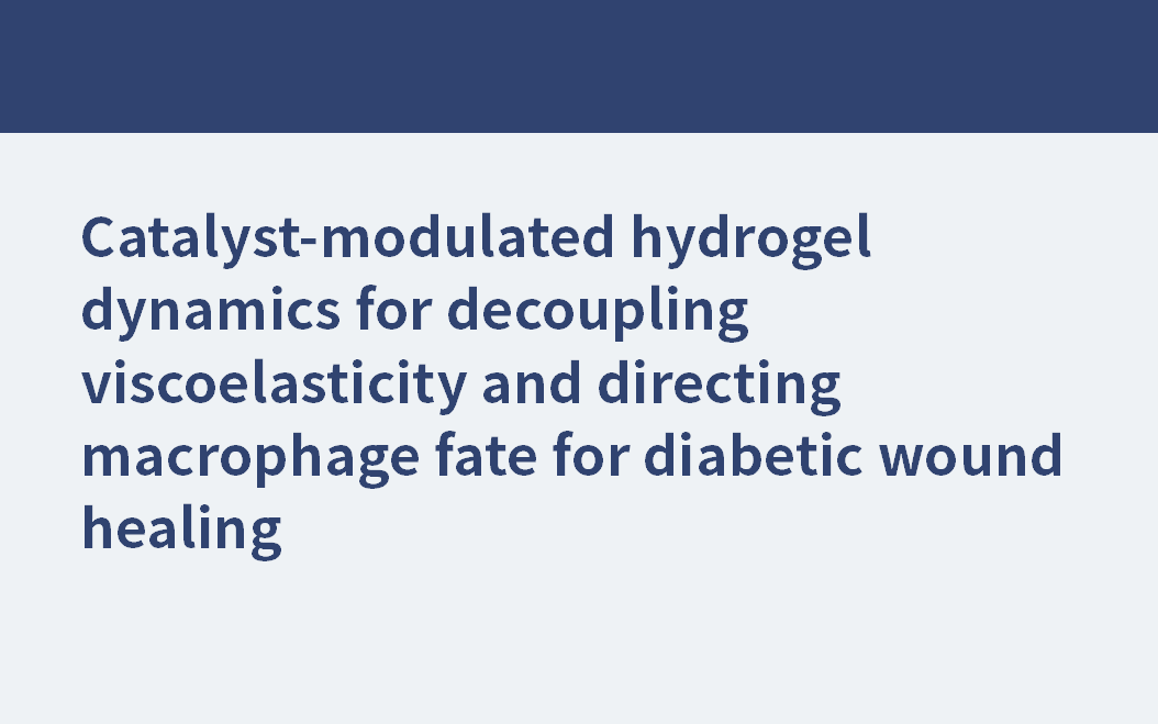Catalyst-modulated hydrogel dynamics for decoupling viscoelasticity and directing macrophage fate for diabetic wound healing
