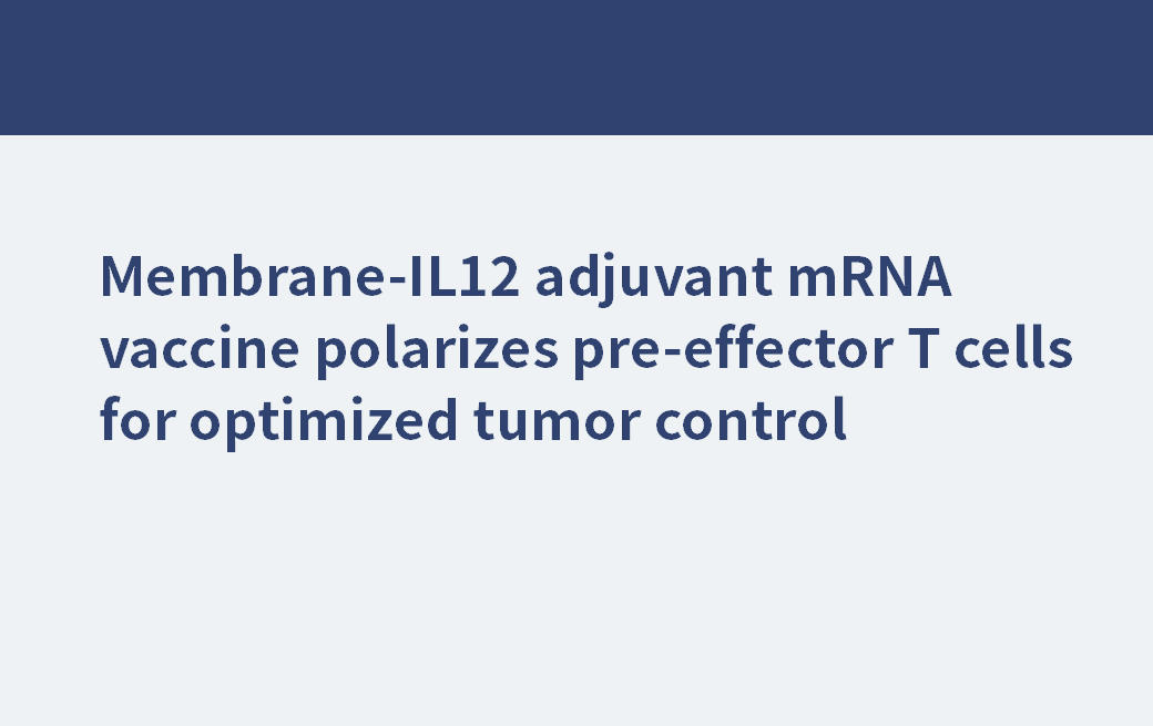 Membrane-IL12 adjuvant mRNA vaccine polarizes pre-effector T cells for optimized tumor control