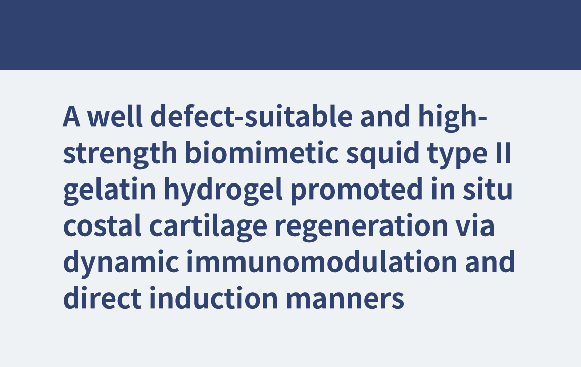 A well defect-suitable and high-strength biomimetic squid type II gelatin hydrogel promoted in situ costal cartilage regeneration via dynamic immunomodulation and direct induction manners