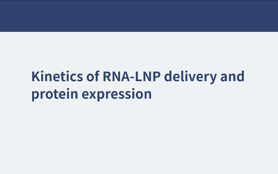 Kinetics of RNA-LNP delivery and protein expression