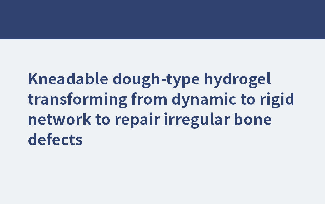 Kneadable dough-type hydrogel transforming from dynamic to rigid network to repair irregular bone defects