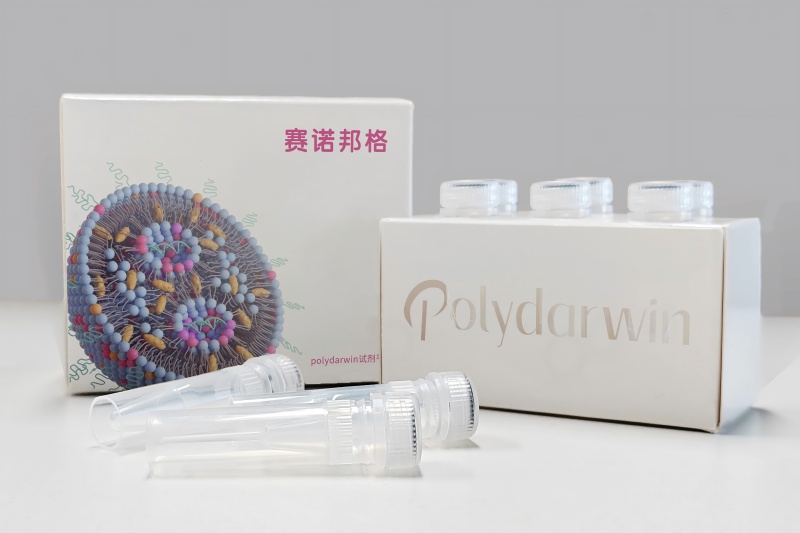 Introducing XcellFect RNA Transfection Reagent: Revolutionize Your RNA Delivery with Unmatched Efficiency & Simplicity!