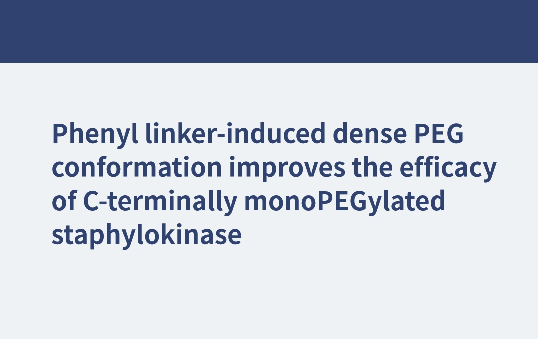 Phenyl linker-induced dense PEG conformation improves the efficacy of C-terminally monoPEGylated staphylokinase