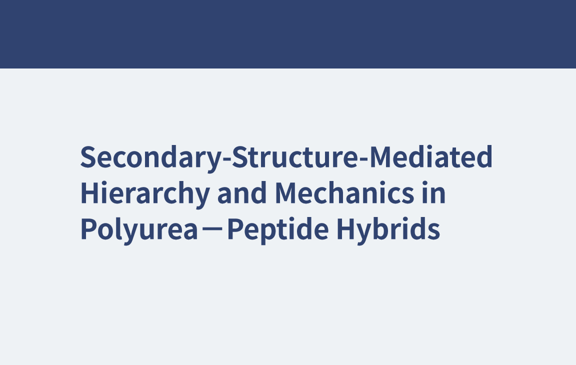 Secondary-Structure-Mediated Hierarchy and Mechanics in Polyurea-Peptide Hybrids