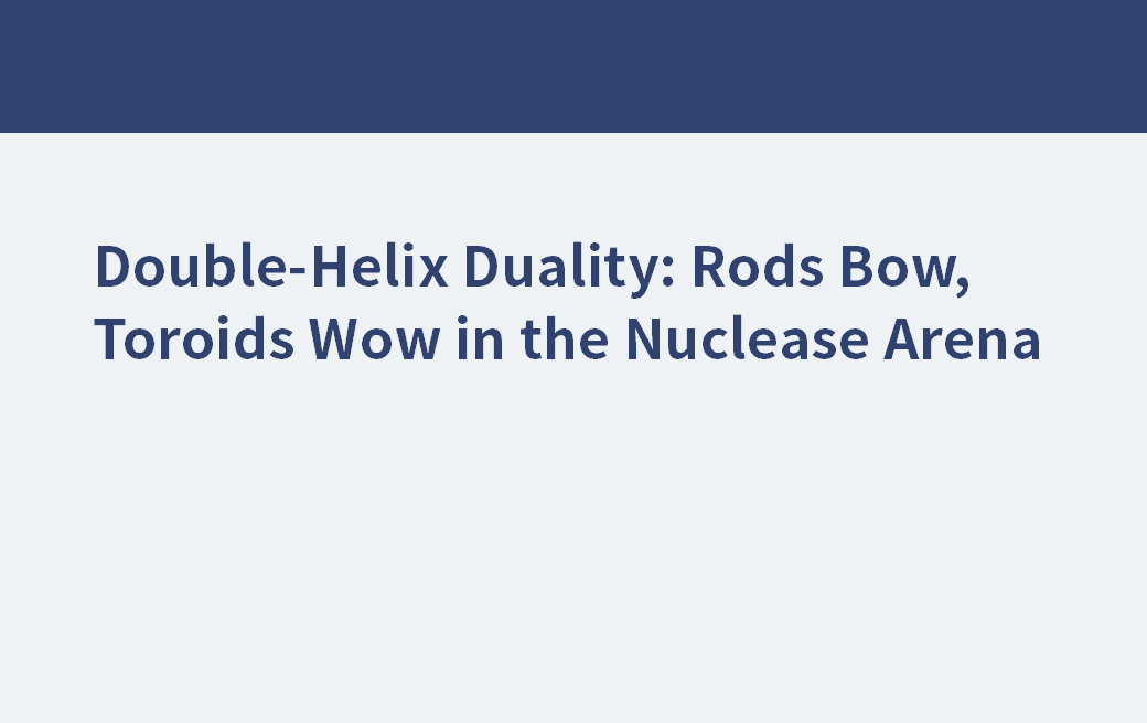 Double-Helix Duality: Rods Bow, Toroids Wow in the Nuclease Arena