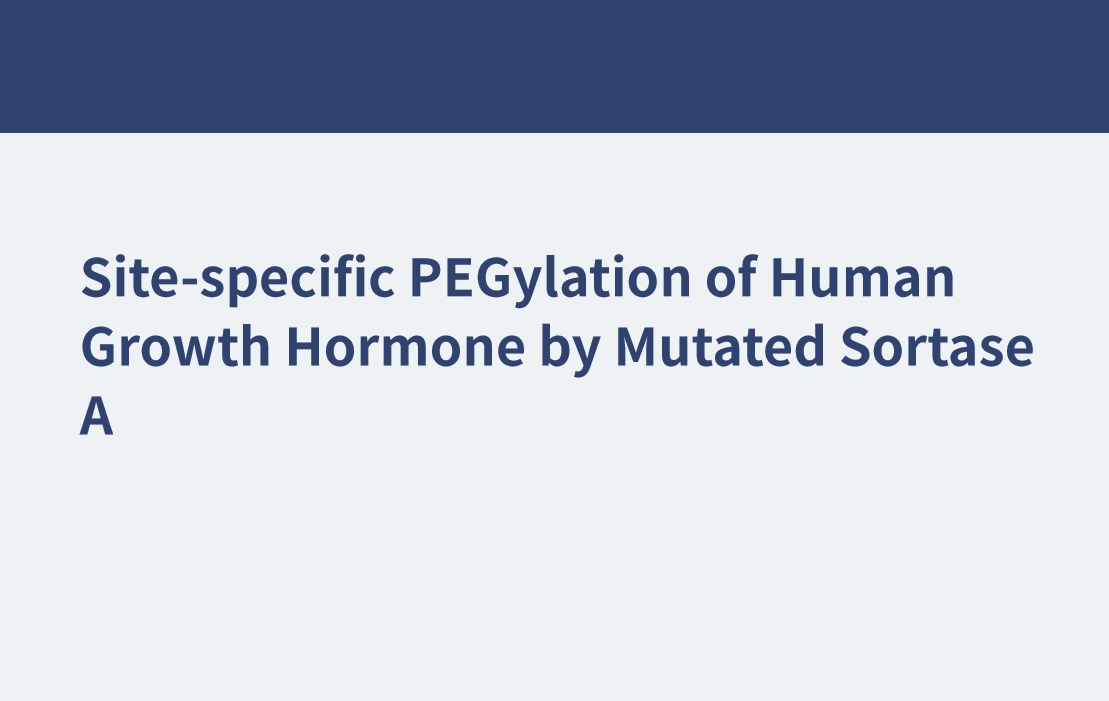 Site-specific PEGylation of Human Growth Hormone by Mutated Sortase A