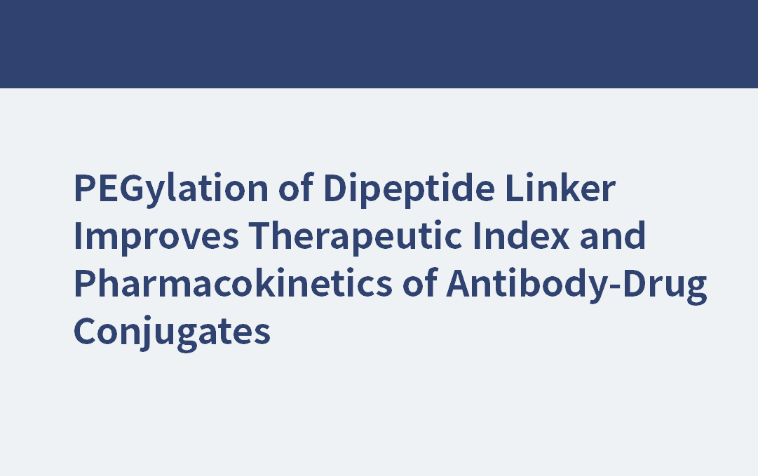 mPEG24 | PEGylation of Dipeptide Linker Improves Therapeutic Index and Pharmacokinetics of Antibody-Drug Conjugates