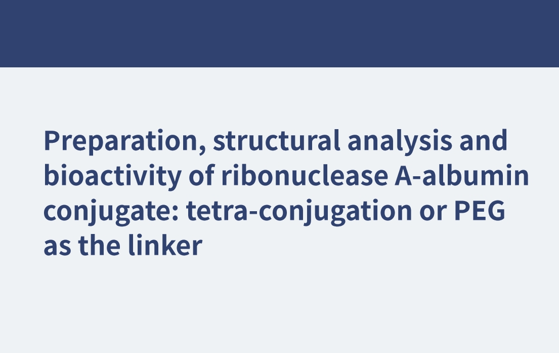 Preparation, structural analysis and bioactivity of ribonuclease A-albumin conjugate: tetra-conjugation or PEG as the linker
